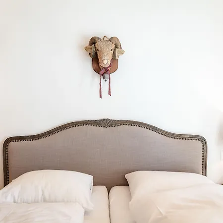 Rinderberg Hotel Zweisimmen