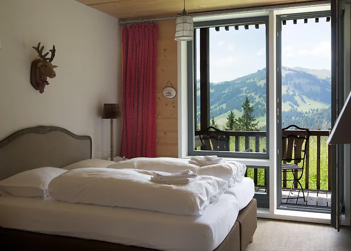 Rinderberg 3* Zweisimmen