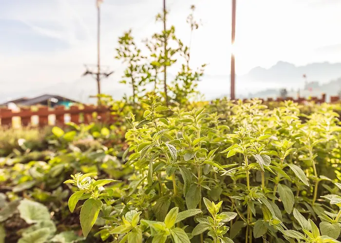 Hotel Rinderberg Zweisimmen