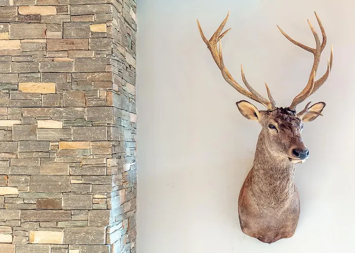 Rinderberg Zweisimmen