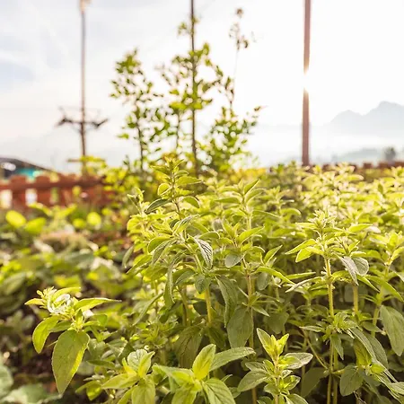 Ξενοδοχείο Rinderberg Zweisimmen