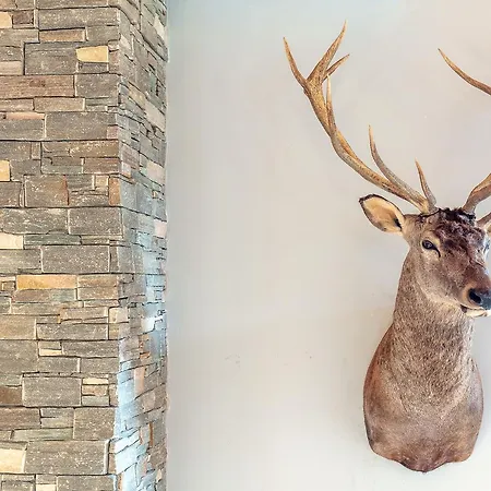 Rinderberg צווייזימן